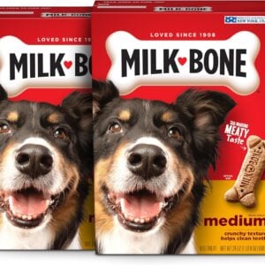 Milk-Bone Dog Treats for Medium Dogs, 24 Ounce | Pack of 2 | Crunchy | Helps Clean Teeth