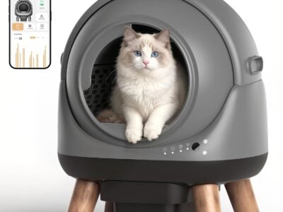 Self-Cleaning Cat Litter Boxes