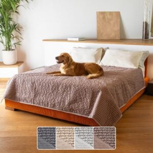 PAULATO BY GA.I.CO. Waterproof Blanket for Bed – King Absorbent Couch Cover – Machine Washable Stain-Resistant Pad for Large Sofa – Pets Cat & Dog Friendly Furniture Protector - Soft Taupe