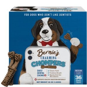Bernie's Charming Chompers Dog Dental Chews, Gut Support, 26-50 lb, 36 Ct