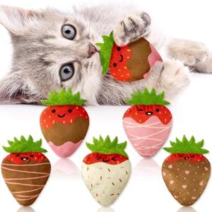 MALLMALL6 Catnip Toys for Cat - 5Pcs Strawberry Chocolate Crinkle Paper Sound Catmint Toy for Indoor Kitten, Teething Chew Kick Interactive Kitty Supplies, Pet Present for Kitten Lover