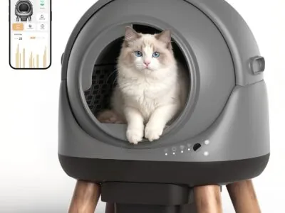 Self-Cleaning Cat Litter Boxes